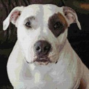 Nancy Gardner Shute's photo