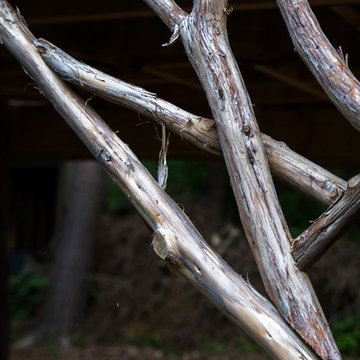 Decorative Trussing - Rustic Grape Arbor and Viewing Platform