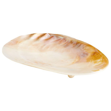 Cyan Small Abalone Tray 09834, Pearl