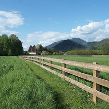 equestrian fencing