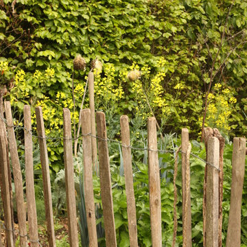 Divers potager