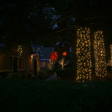 Holiday Light in Woodinville