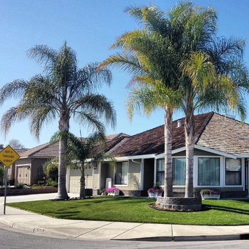 Down & Dirty Landscape Design Projects