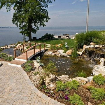 Backyard Ponds (Long Island/NY):