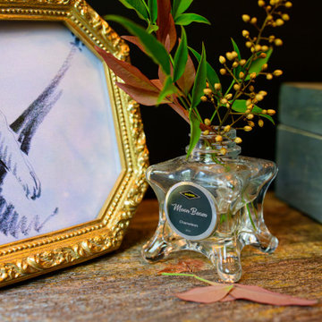 Sentimental Memories
