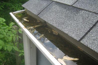 Old Gutters are a Mosquito Haven!