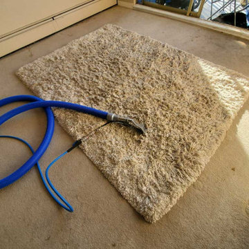 Carpet Cleaning Area Rug Cleaning in a Condo Located in Burnaby BC Canada