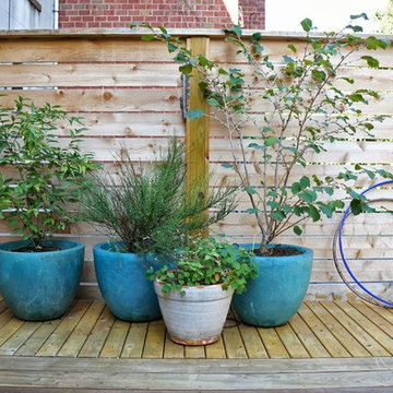 Carroll Gardens Backyard