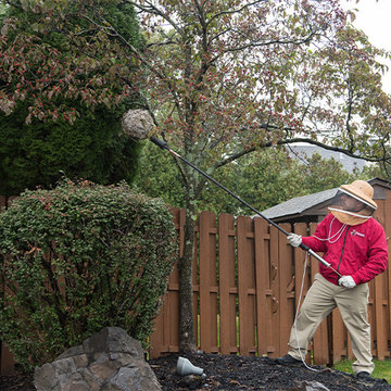 Pest Control Services