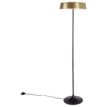 China LED Floor Lamp, Matte Brass