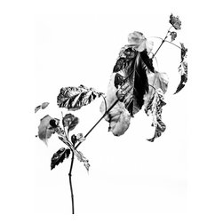 Autumn steel - Prints And Posters