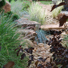 Dry Creek Bed
