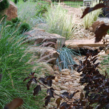 Dry creek bed.