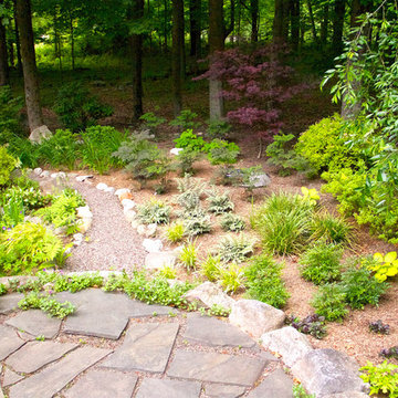 Shade Gardens