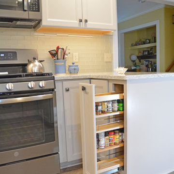 A Personalized Kitchen Design in East Lansing