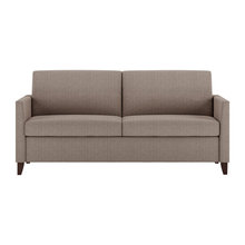 Sleeper Sofa