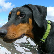 agursahaneys foto