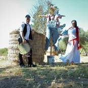 Massimo Ardillo's photo