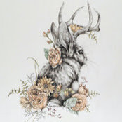 Kateryna Baranova's photo