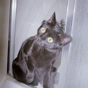 Brenda Hammer's photo