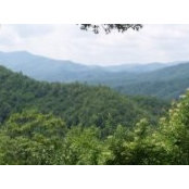 Tim Andrews's photo