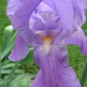 Cheryl Sladen's photo