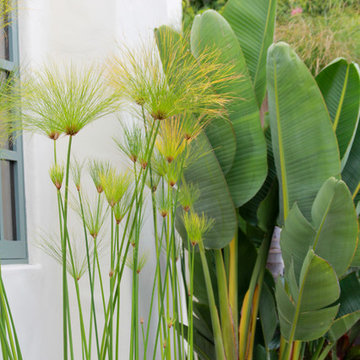 Santa Barbara Bungalow