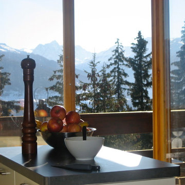 Cozy Ski Chalet Apartment - Valais