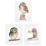Ellen Crimi-Trent - Baby Watercolor Owls Print, 3-Piece Set, Neutral, 8" - A super cute watercolor print of a painting of baby owls. This would be such a darling addition to any nursery or home.