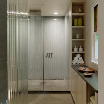 Mill Valley Renovation