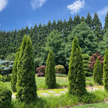 Landscaping Highlights