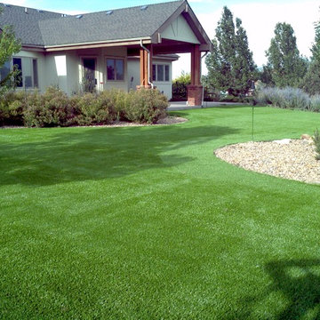 Synthetic Grass Yard in Evergreen