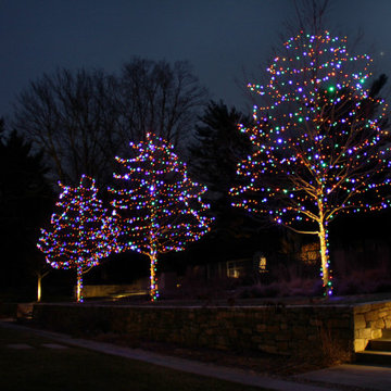 Holiday Lighting at Night