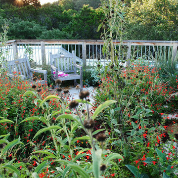 Hilltop Green Roof