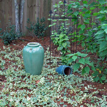 Landscape Ideas