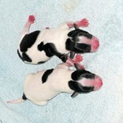 Julie Sandoval's photo