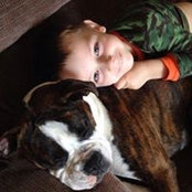 Stacey Hosmer's photo