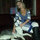 Darice Marcoccia