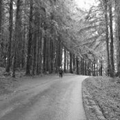Cathleen Weinrib's photo
