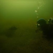 Foto von Peter Hahn