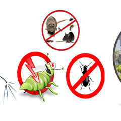 Emergency Pest Control Perth