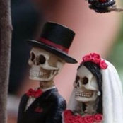 Jacki Trives's photo