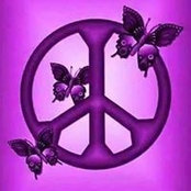 Tammy Shawley's photo