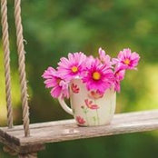 Wendy Gattegno's photo