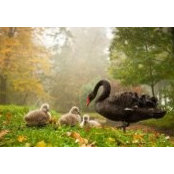 Elham Ghareeb's photo