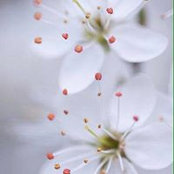 Elena Dorosh's photo
