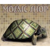 Mosaic Shops foto