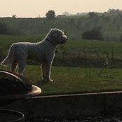 Simon Molyneux's photo