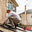 MP Diversified Services LLC