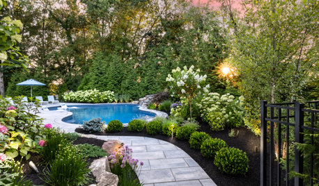 The Top 10 New Pools Right Now